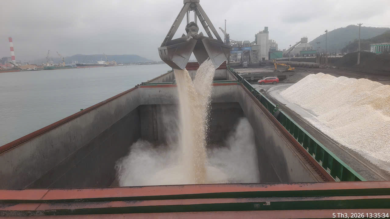 Dịch vụ vận tải sông biển 8